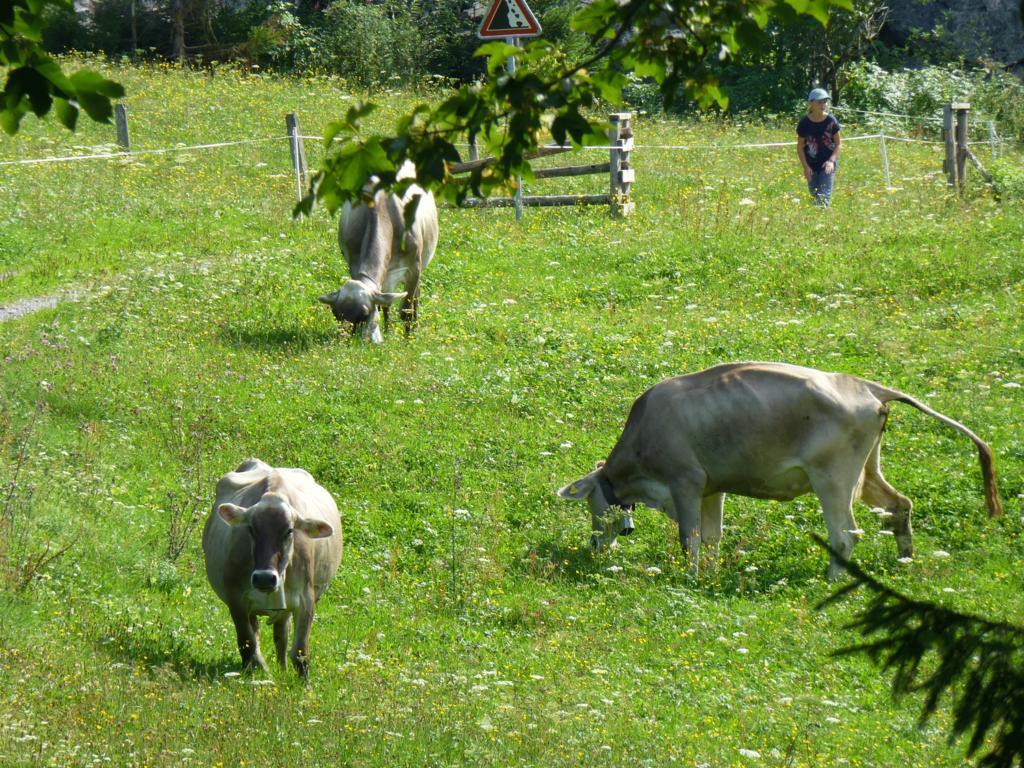 Berghotel Obersee Näfels Zewnętrze zdjęcie