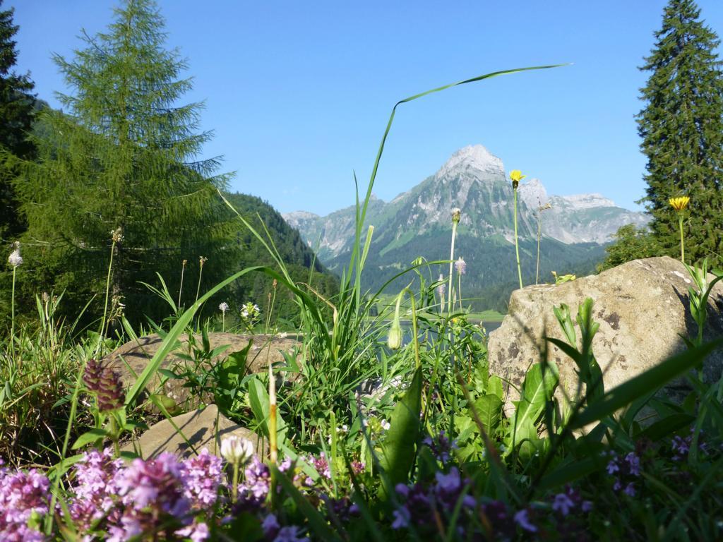 Berghotel Obersee Näfels Zewnętrze zdjęcie