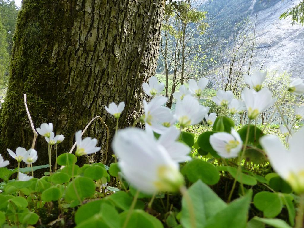 Berghotel Obersee Näfels Zewnętrze zdjęcie