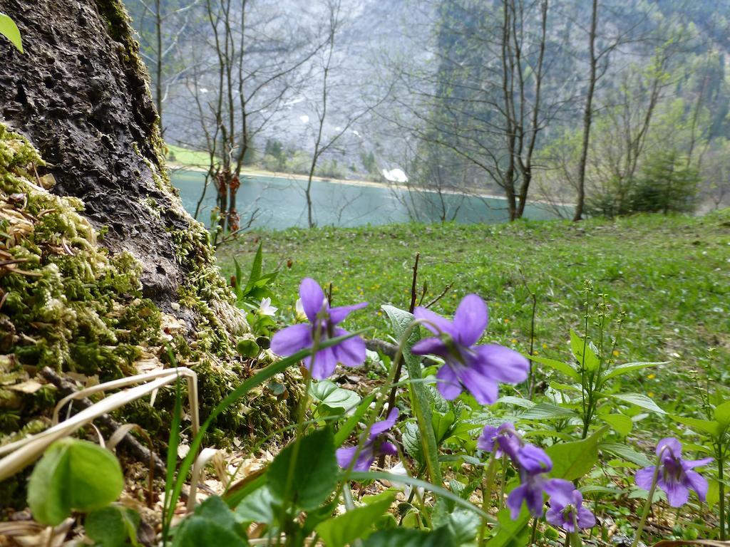 Berghotel Obersee Näfels Zewnętrze zdjęcie