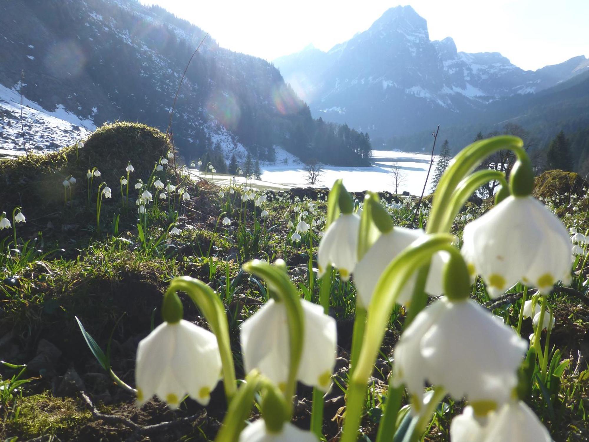 Berghotel Obersee Näfels Zewnętrze zdjęcie