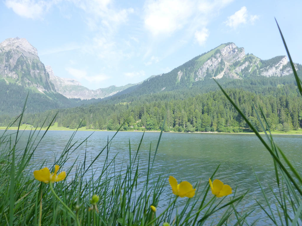 Berghotel Obersee Näfels Zewnętrze zdjęcie